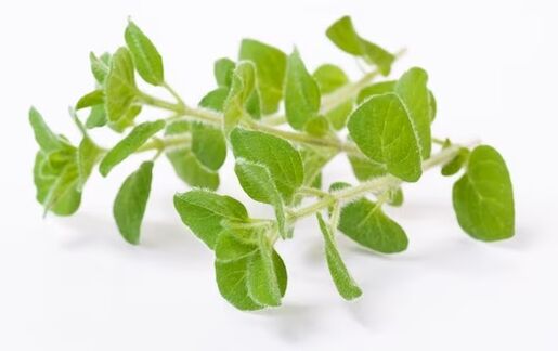 Brand Fungent Brand contains Oregano Oil