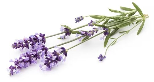 Brand munnegent brand contains lavender oil
